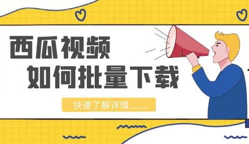 吃瓜爆料素材视频下载,一场视觉盛宴背后的下载风云