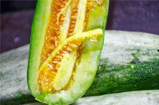 可以吃瓜的网红,揭秘网红们的美食盛宴