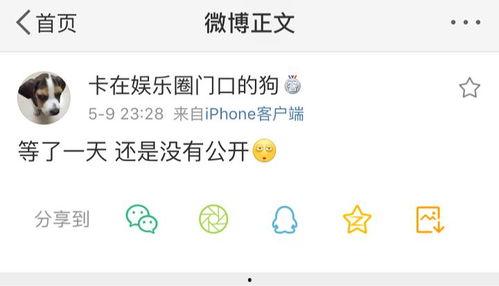 qq吃瓜大爆料号,QQ吃瓜大爆料号背后的惊人真相