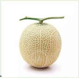 ppcg泡泡吃瓜网,揭秘网络娱乐的狂欢盛宴